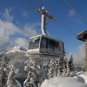 Liliowe Turnie Basen Ul Nowotarska Zakopane